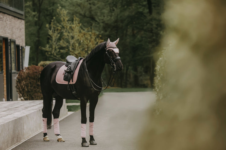 Kentucky Horsewear matching pink set