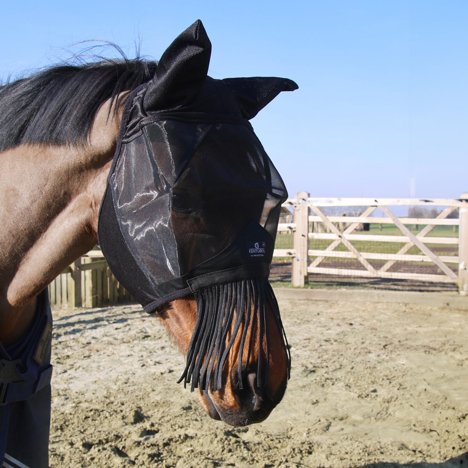 high quality horse fly mask