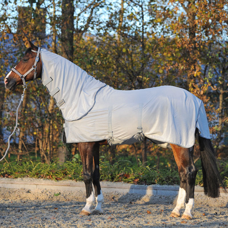 Fly rug with removable neck rug