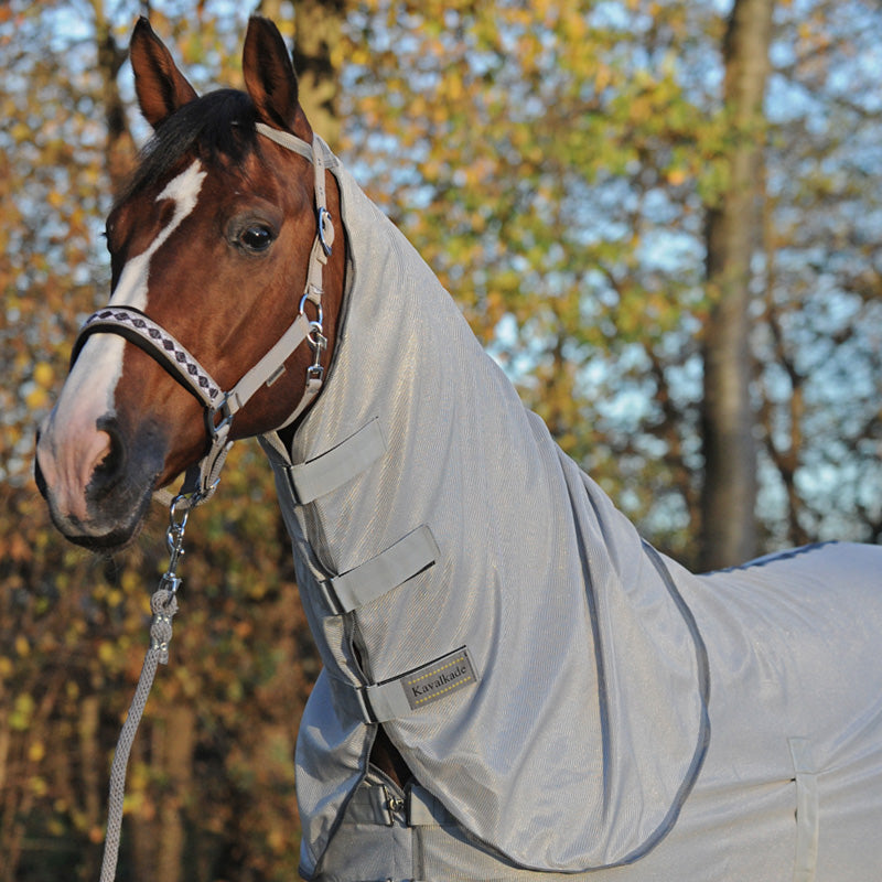 Best combo fly rug for turnout