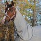 Best combo fly rug for turnout
