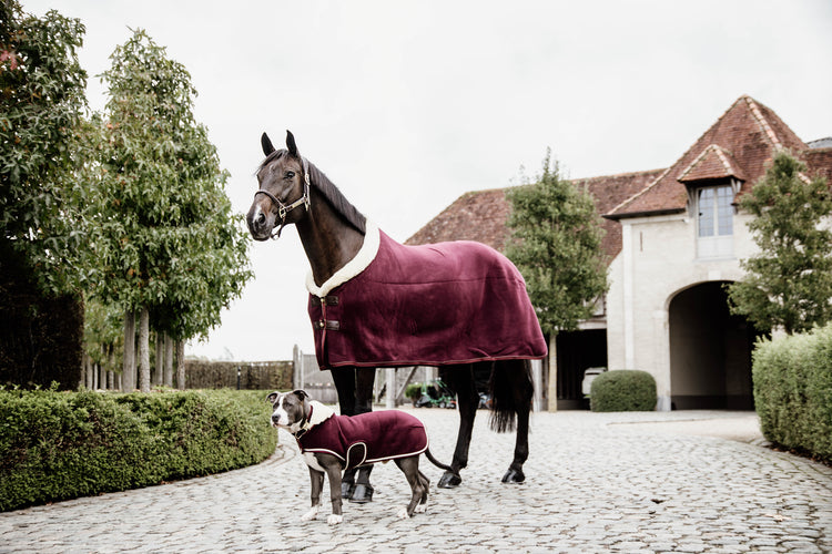 matching horse and dog rugs