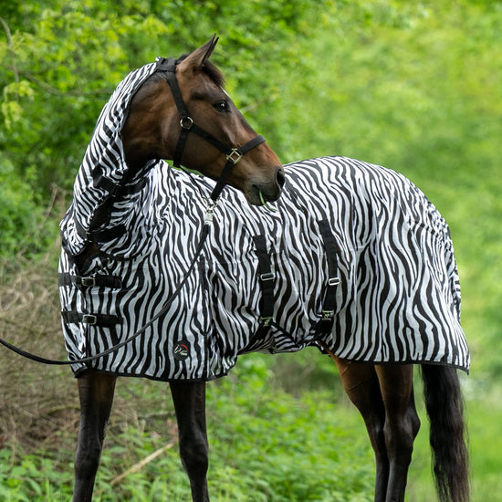 Zebra Fly Rug with neck