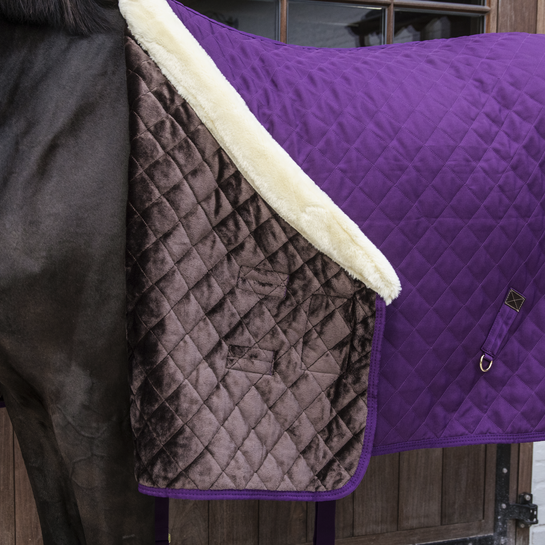Kentucky luxury horse blanket