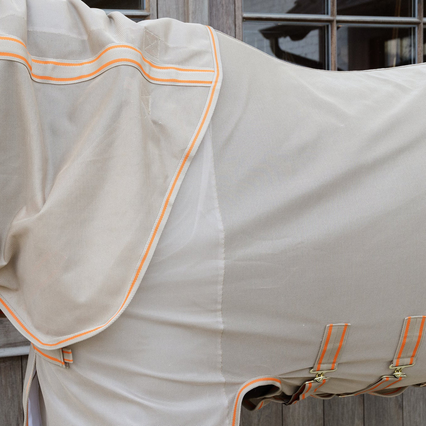 Horse fly rug