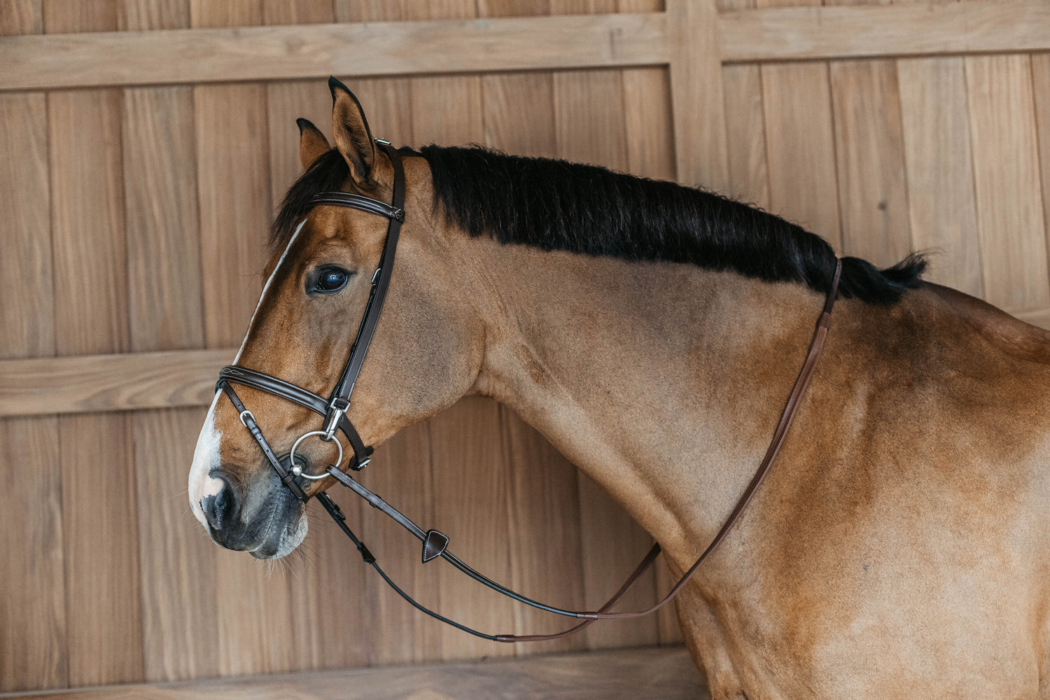 Training Bridle with snaps  