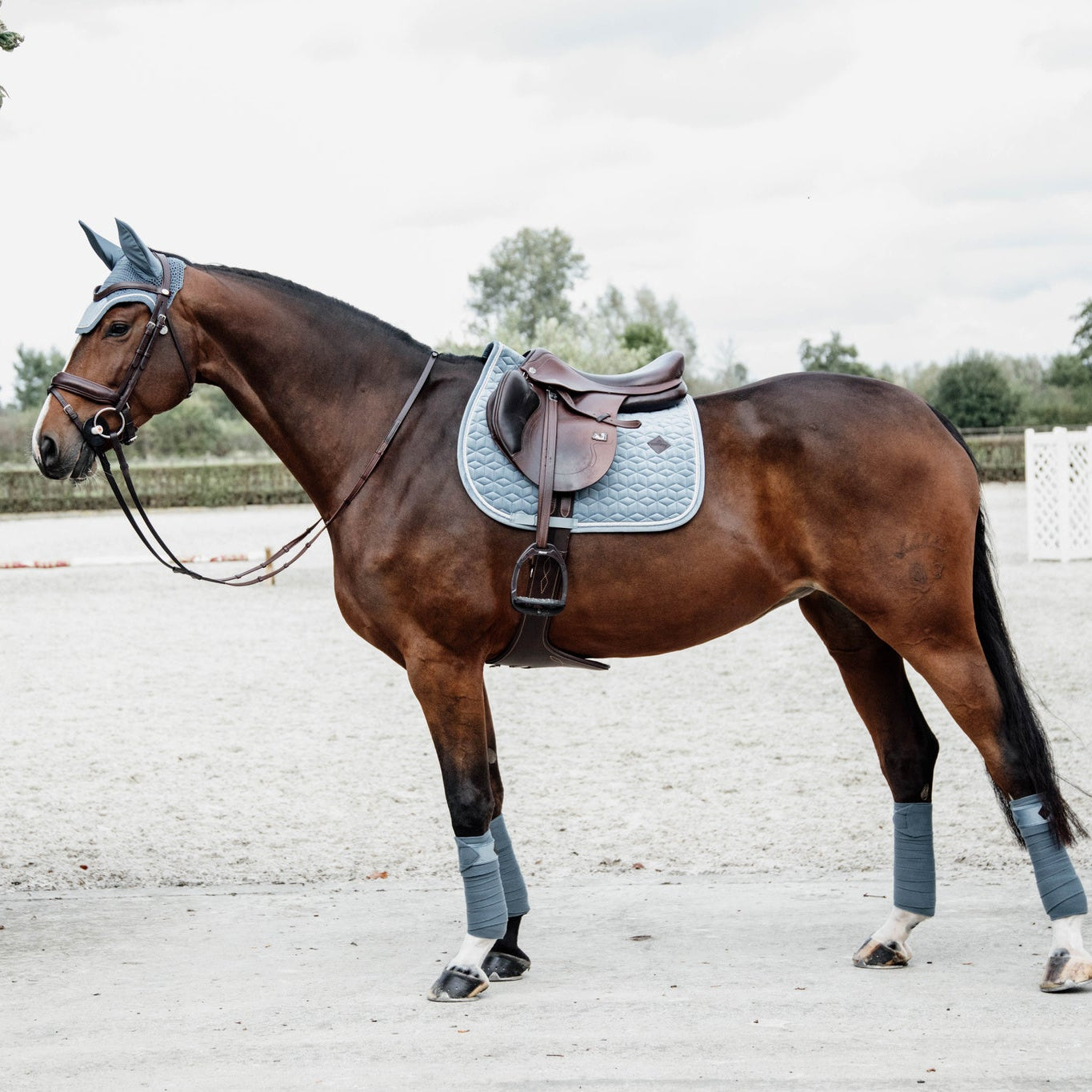 Kentucky Horsewear Velvet Set Light Blue
