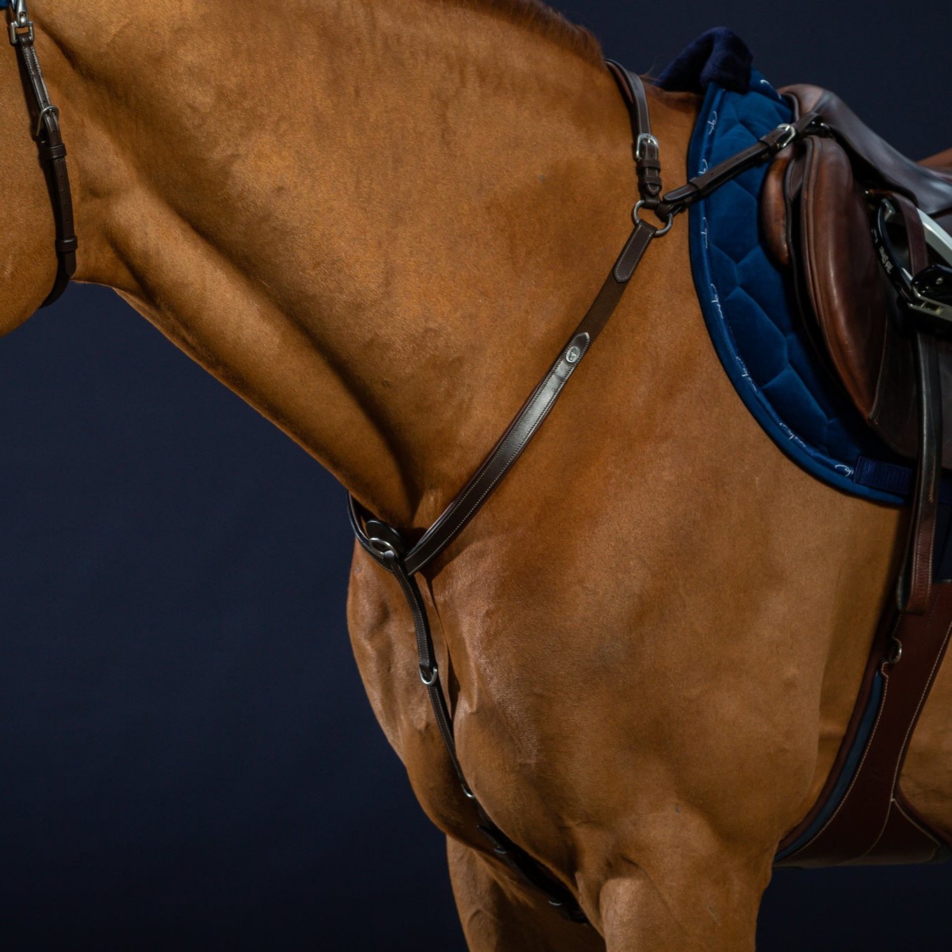 Best breastplate with elastic for show jumping