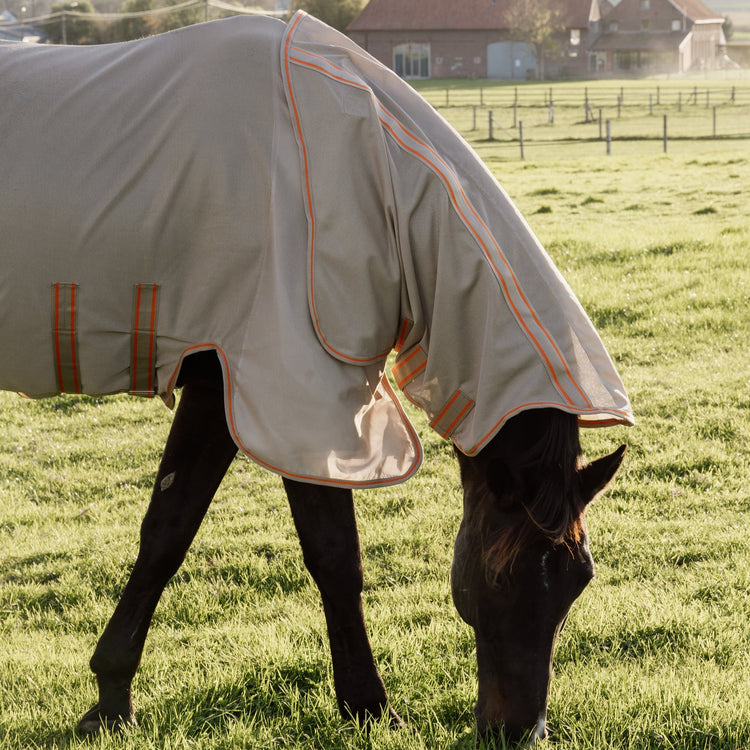 Horse fly rug with neck