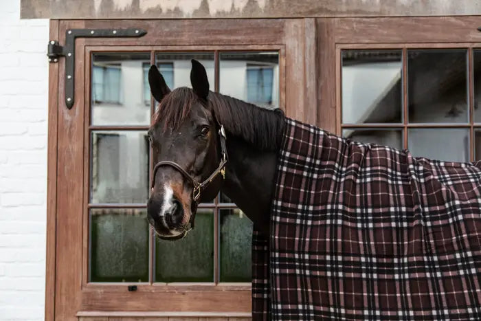 Kentucky Horsewear fleece blanket