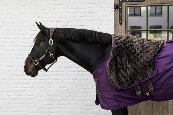 Kentucky Horsewear Purple turnout rug