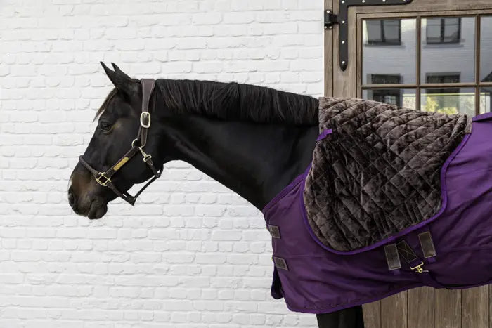 fur lined rug for horses