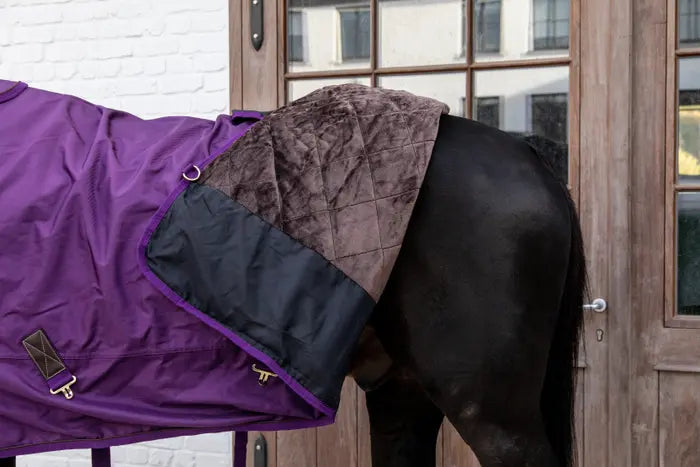 Outdoor turnout rug for horses warm