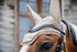 elegant velvet pearl ear bonnet for horses with slim-fit stretchy ears beige