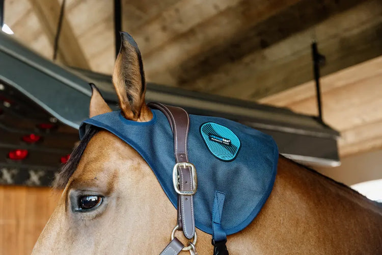 magnetic therapy for horse neck