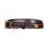 Brown leather dog collar with gold buckle and cream stitching from Dy&