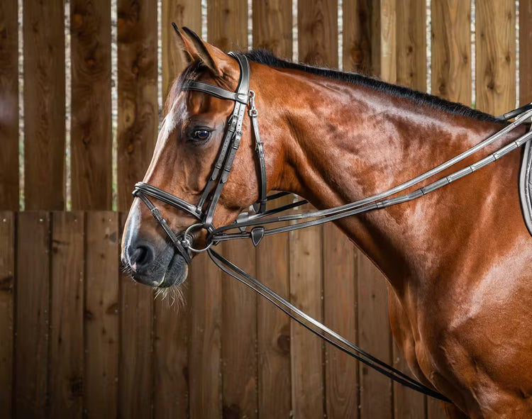Black leather draw reins being used on a brown horse