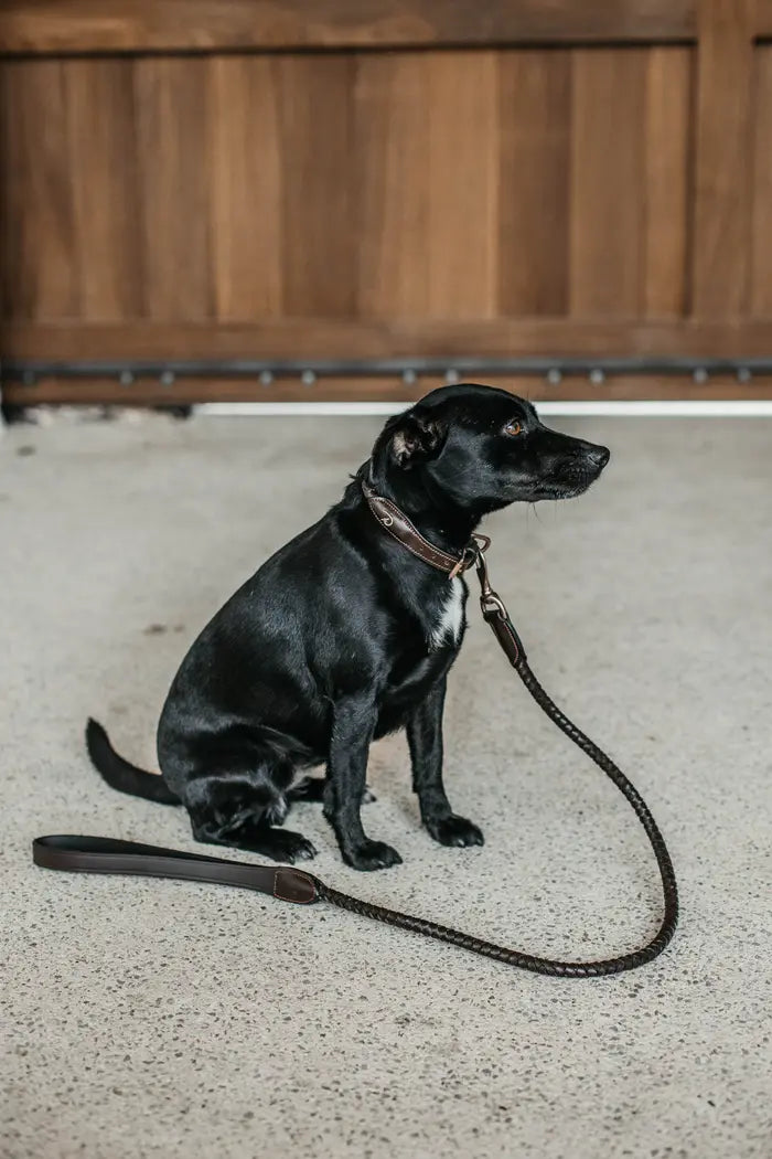 Luxury Leather dog lead