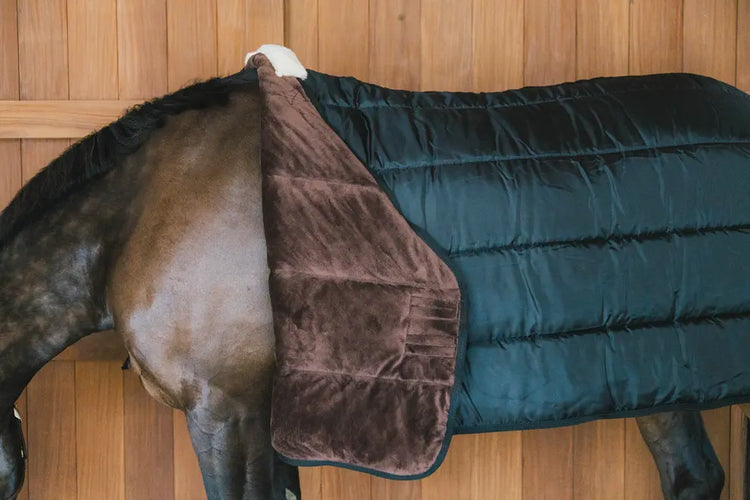Winter Horse Liner