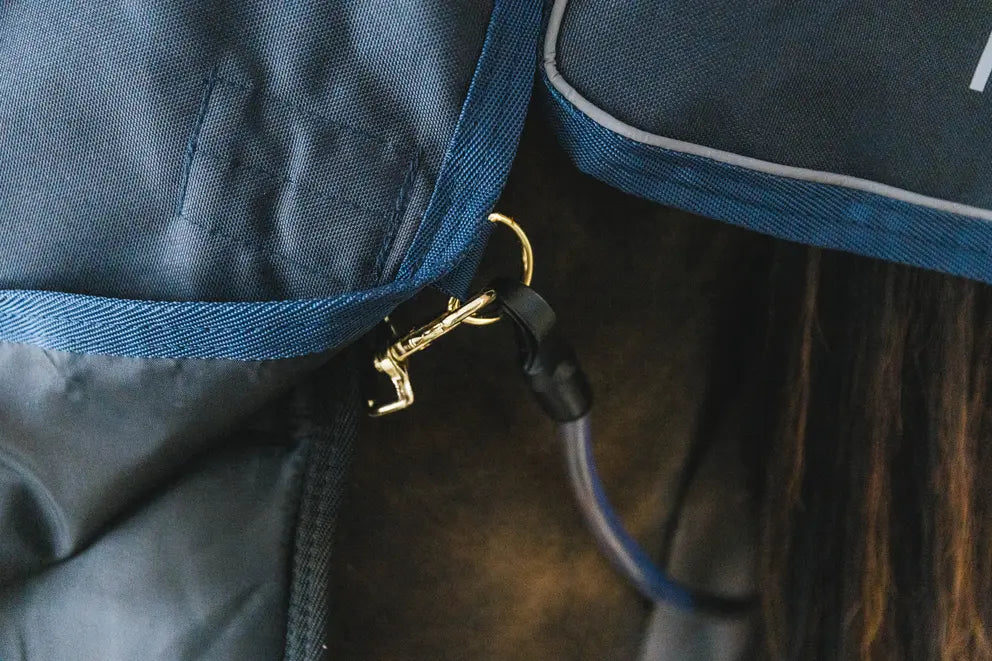 warm horse under rug