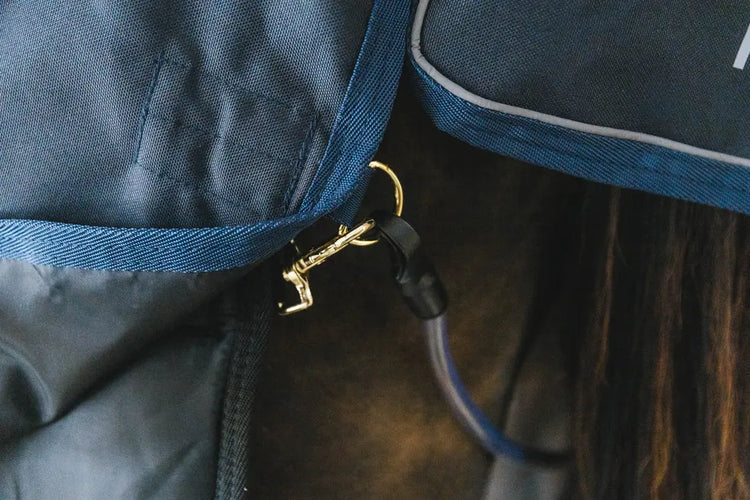 warm horse under rug