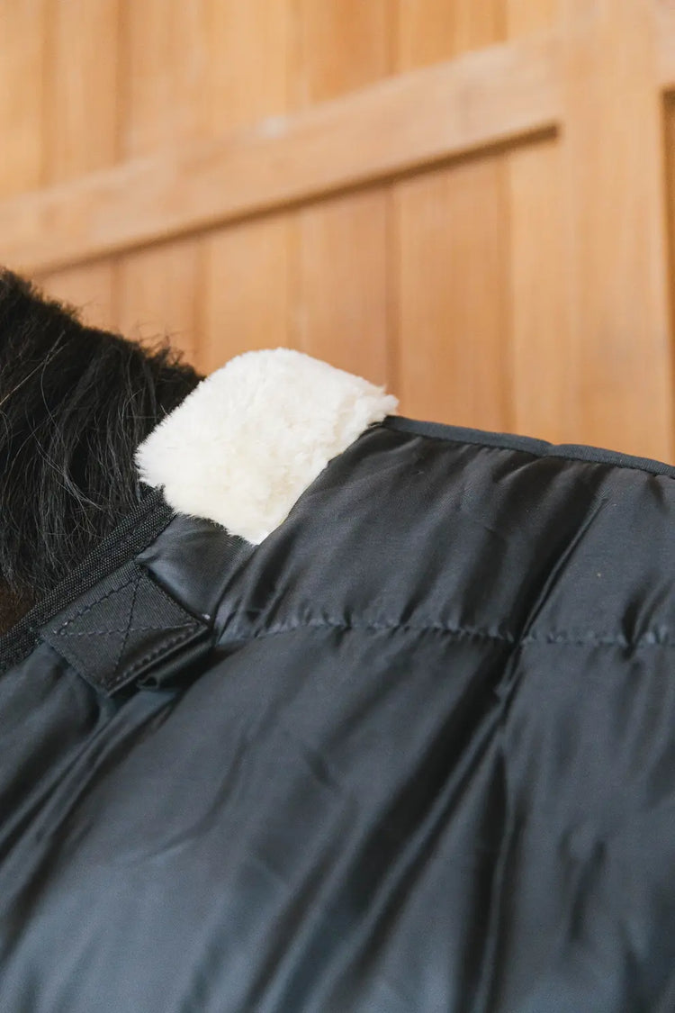 Horse winter Underrug