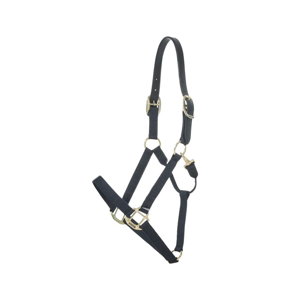 nylon and leather halter