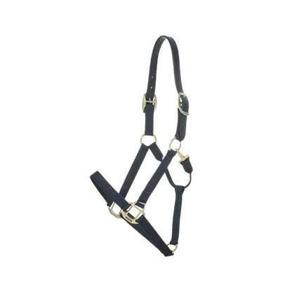 nylon and leather halter