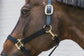 Kentucky Nylon Halter