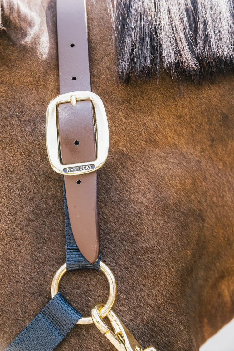 Adjustable head collar