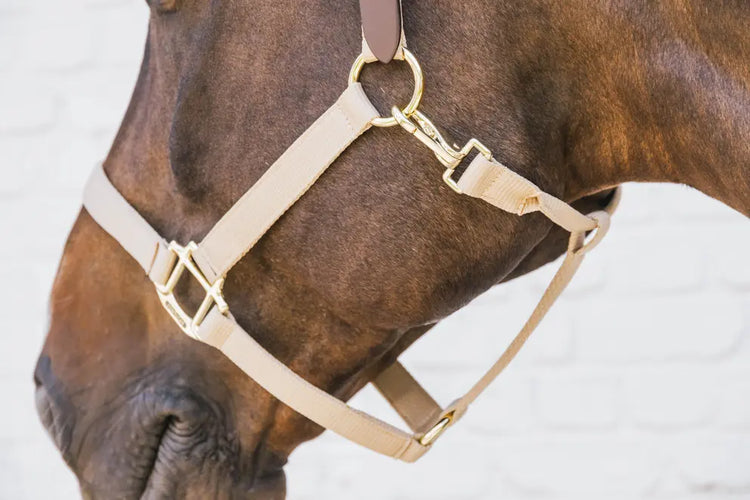 Comfortable nylon head collar