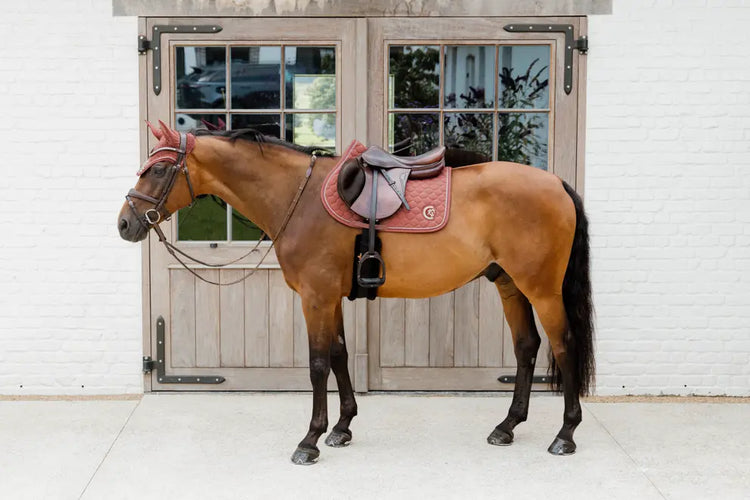 Anatomic saddle pad