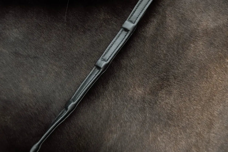 reins with integrated stopper