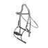 Anatomical noseband for dressage and jumping
