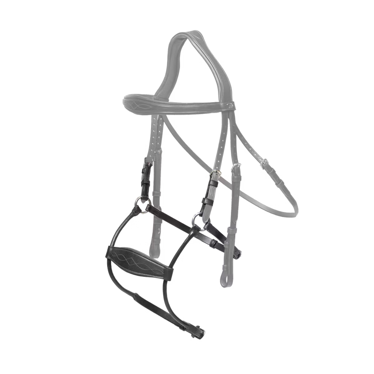 Anatomical noseband for dressage and jumping