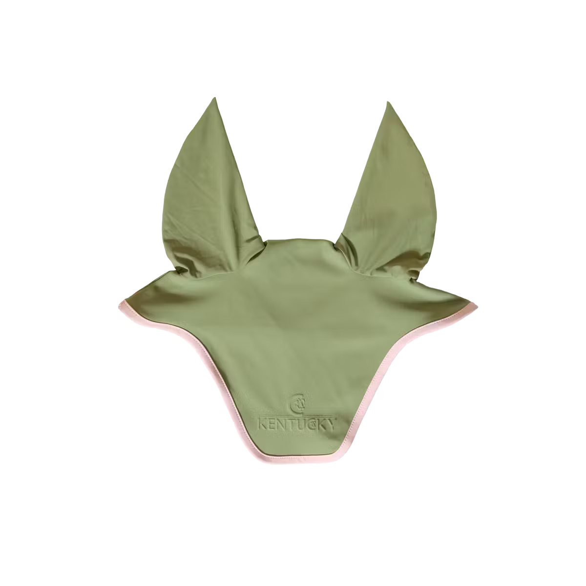 Equestrian fly veil for training and competition