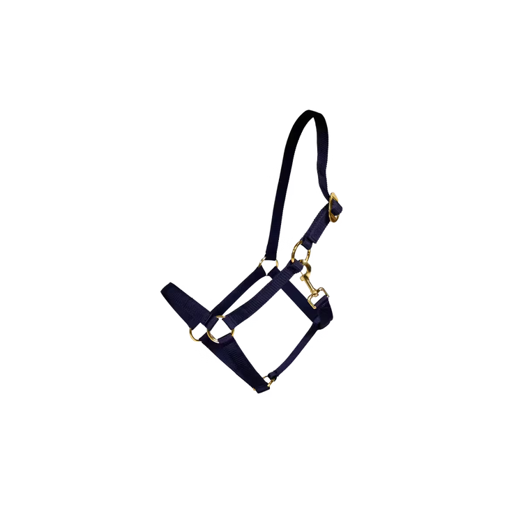 Nylon halter for horse turnout and stable