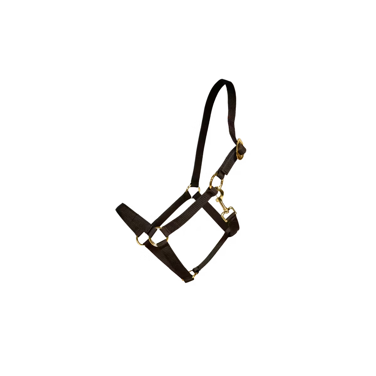 Equestrian nylon halter with strong design