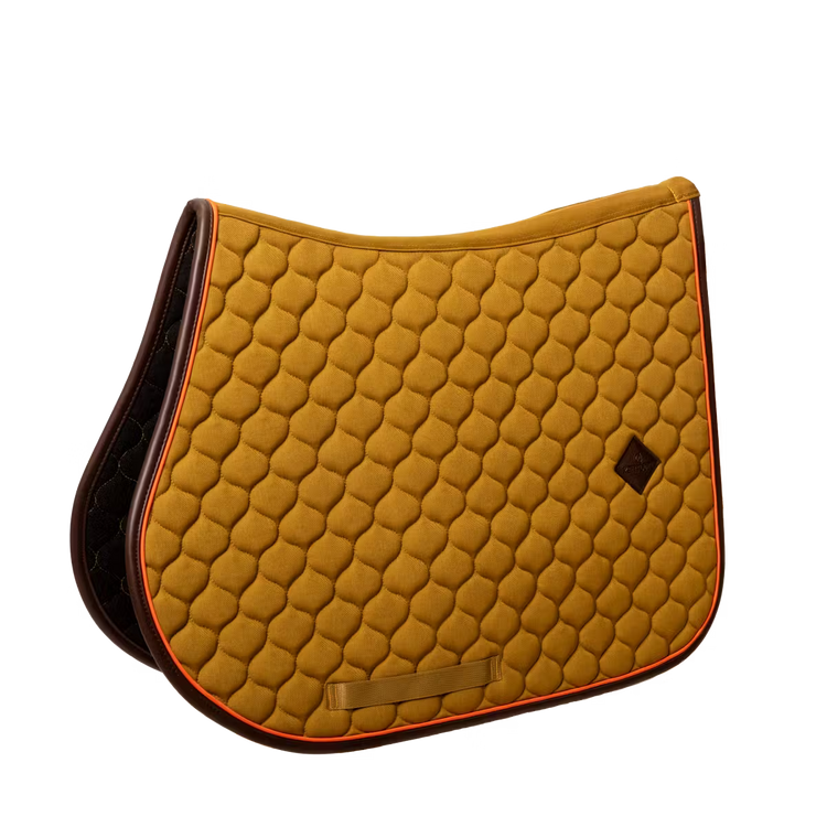 Horse wearing Kentucky saddle pad with neon detail