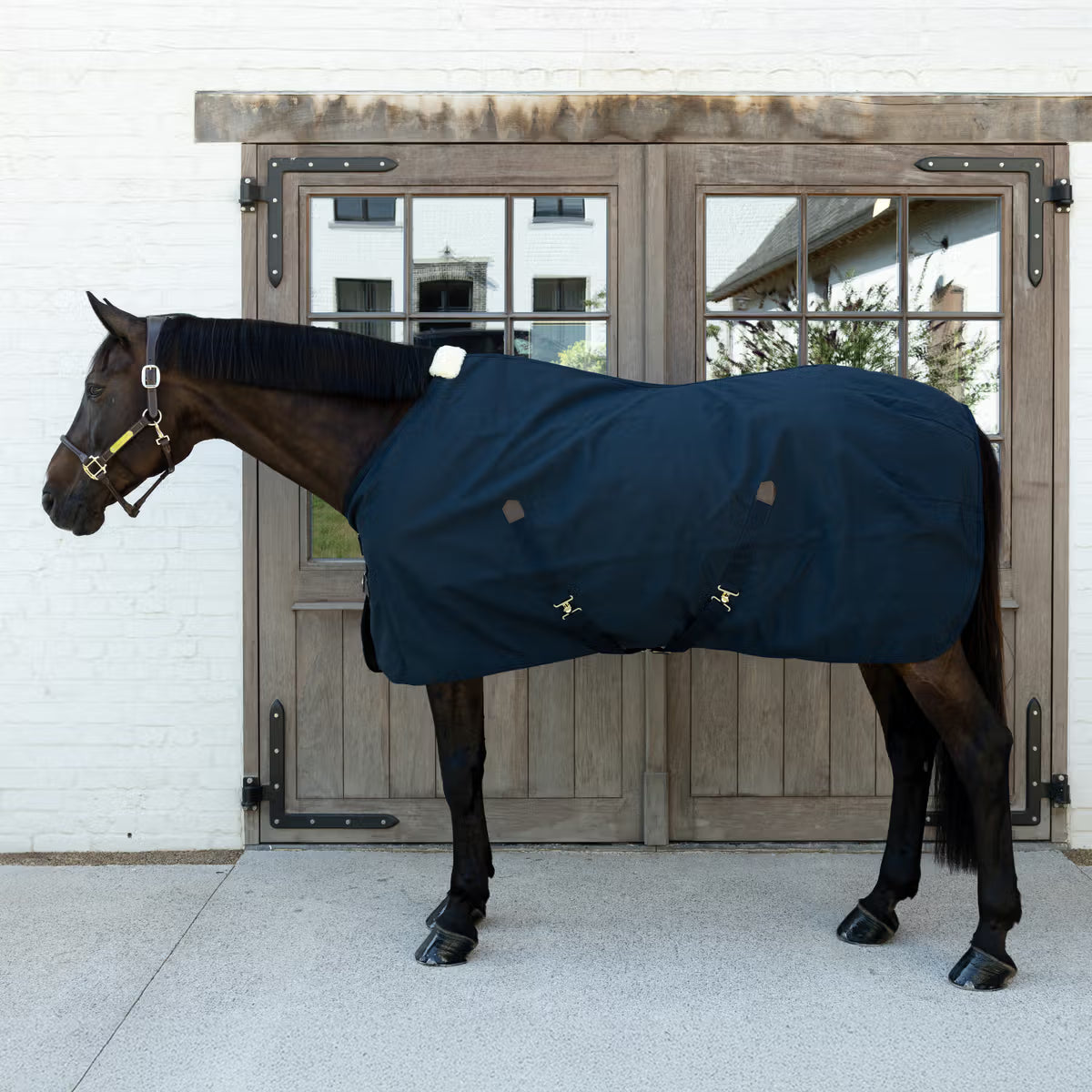 durable canvas horse sheet with high tensile and tear strength navy