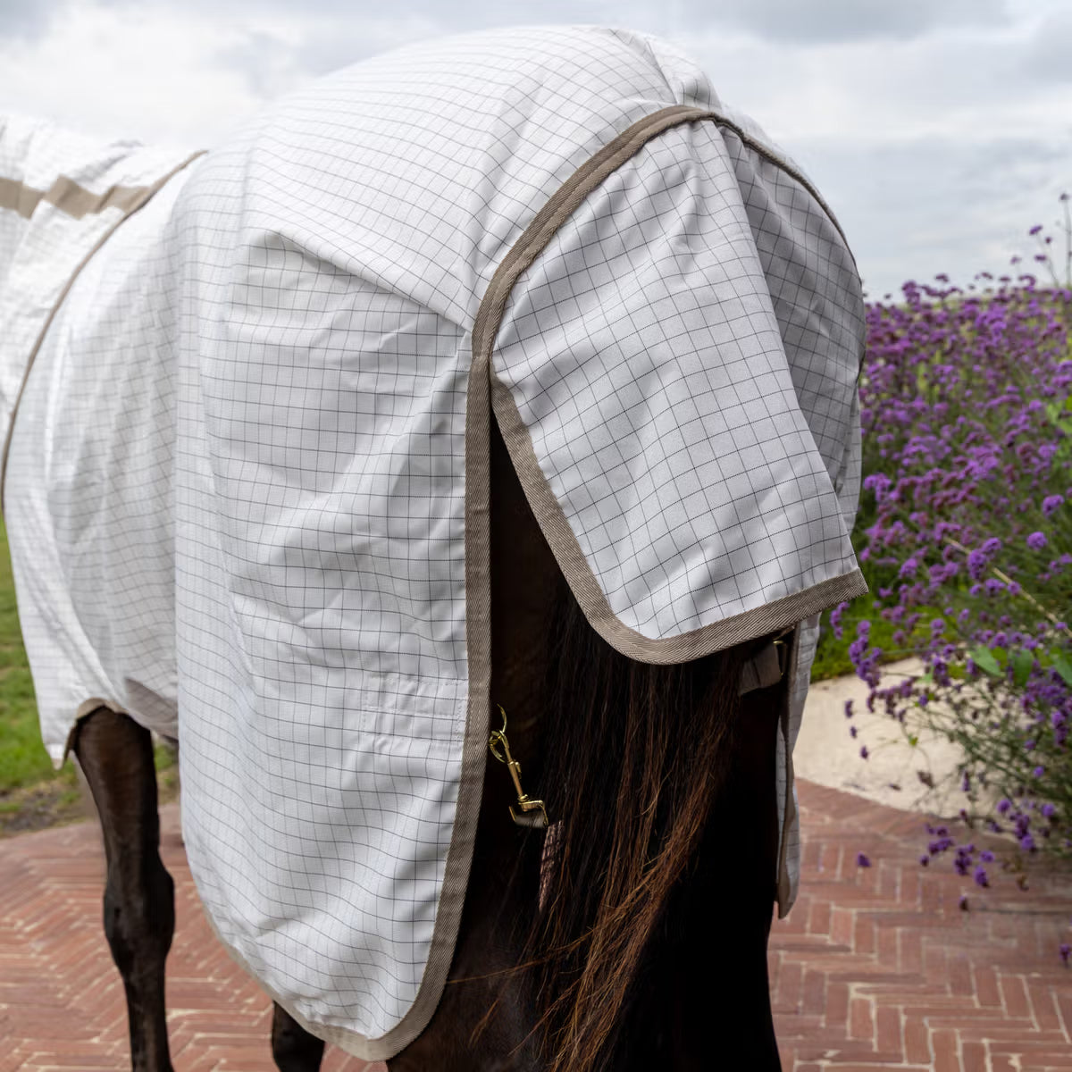 Lightweight summer sheet for sensitive horses