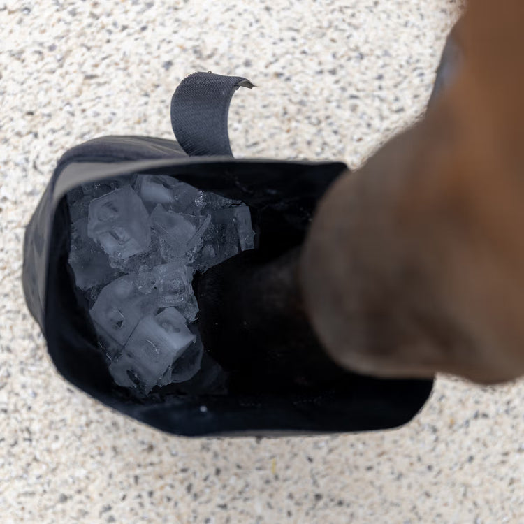 stable and competition hoof boots