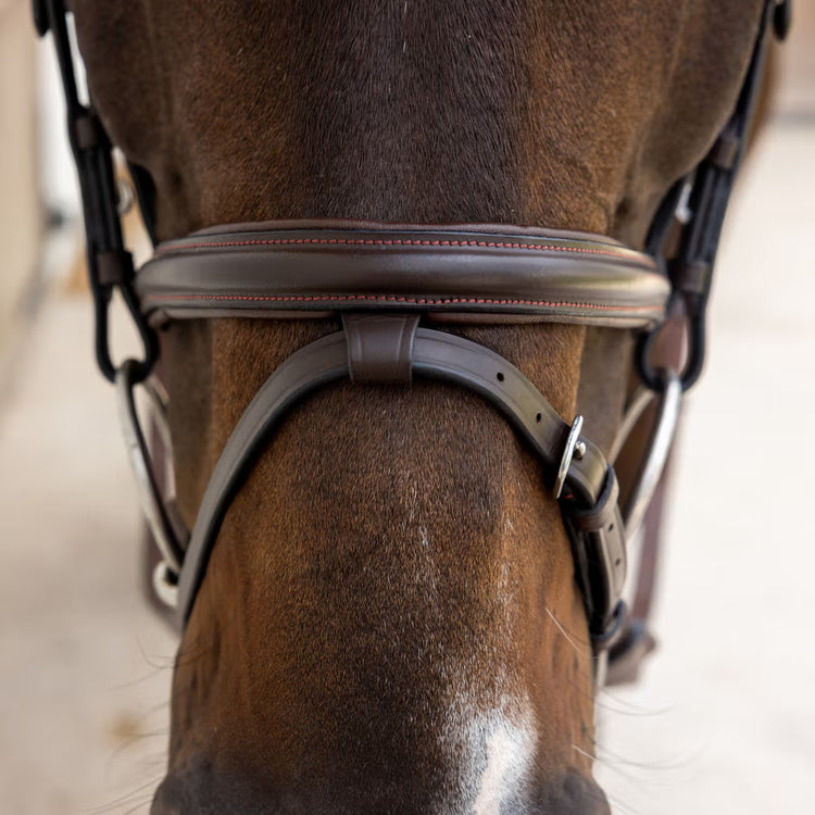 Soft leather equestrian bridle for daily riding