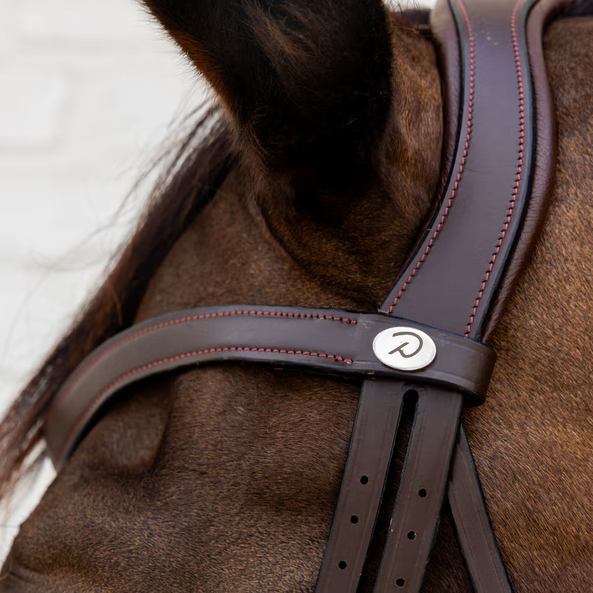 Leather bridle with flash noseband for dressage