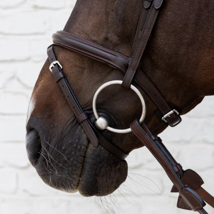 Classic horse bridle with ergonomic headpiece