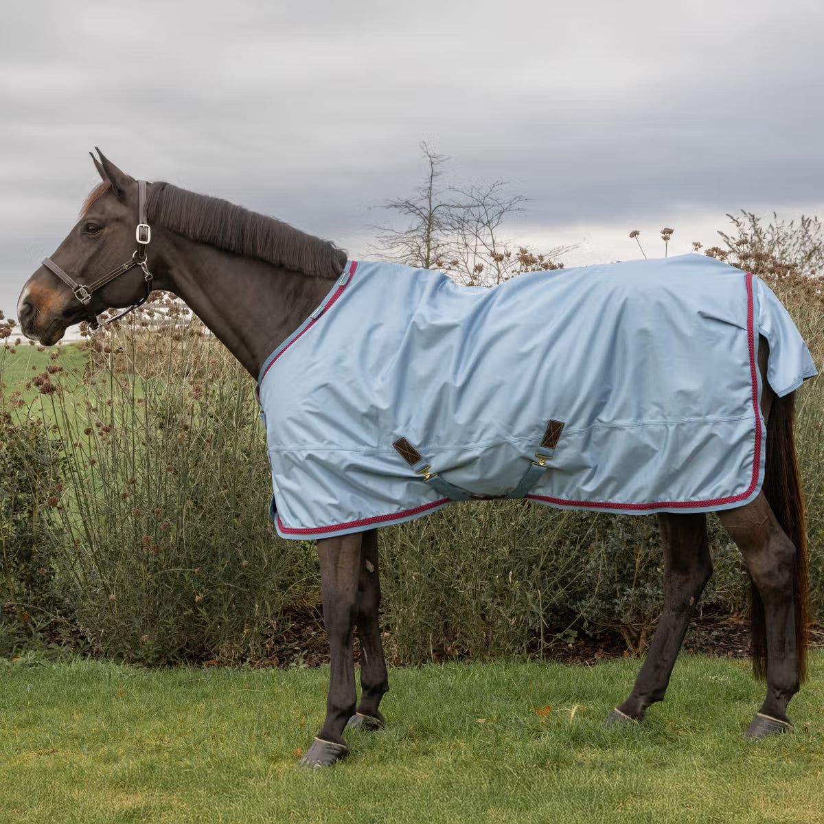 Kentucky Turnout Rug All Weather Pro with braided cord for premium outdoor protection