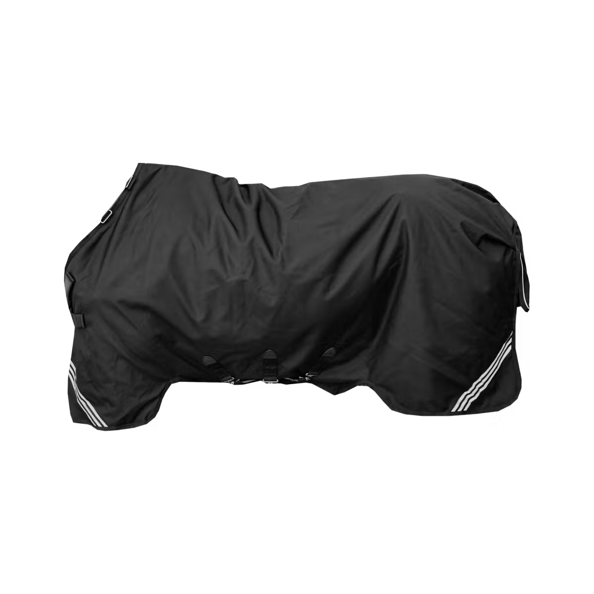 kentucky new color rug