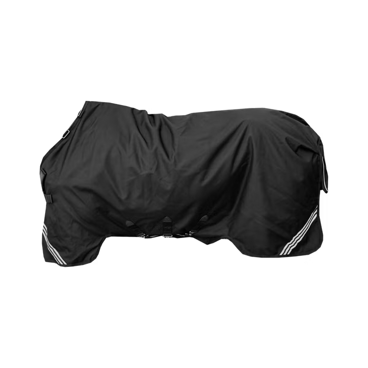 kentucky new color rug