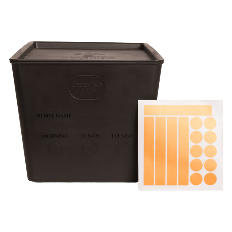 Horse feeding box with snap lid