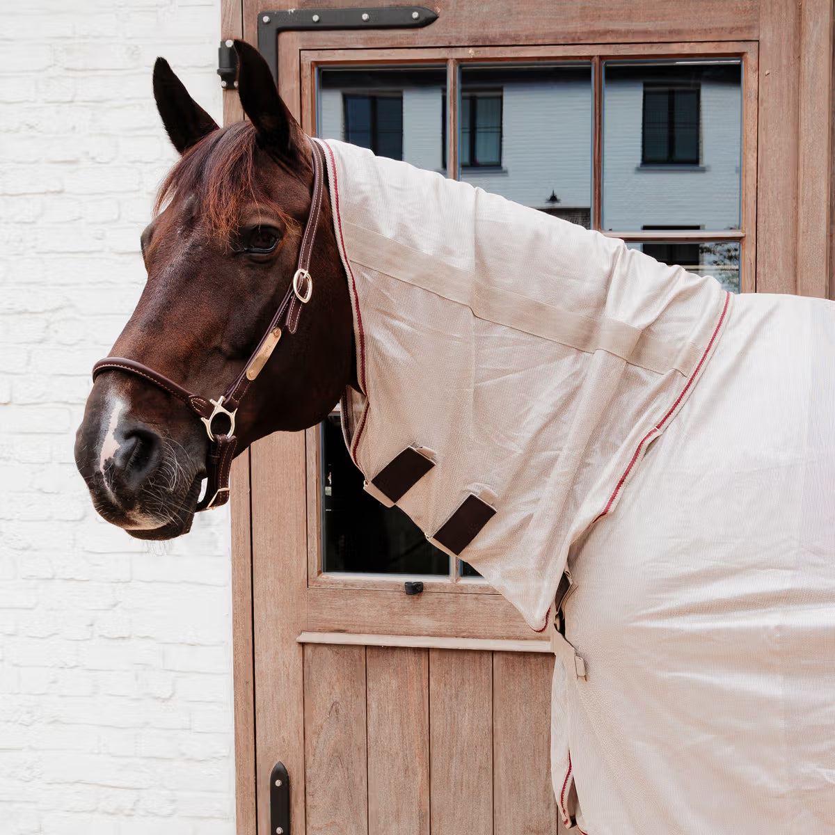 Kentucky fly rug with detachable neck and belly flap